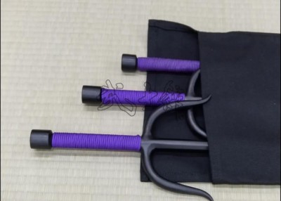 SAI 1 ~ SAI 6 CASE FOR 3 SAI